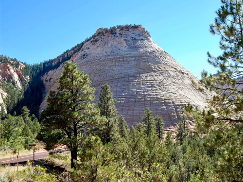 Checkerboard Mesa